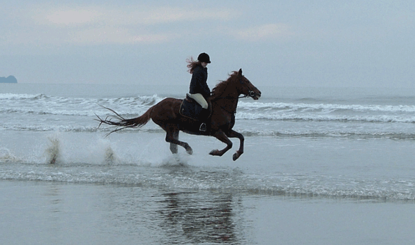 beach riding